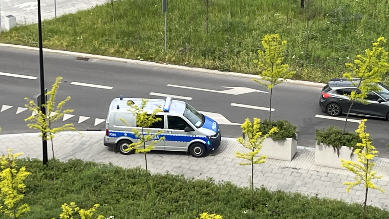 Pocisk podczas grzybobrania